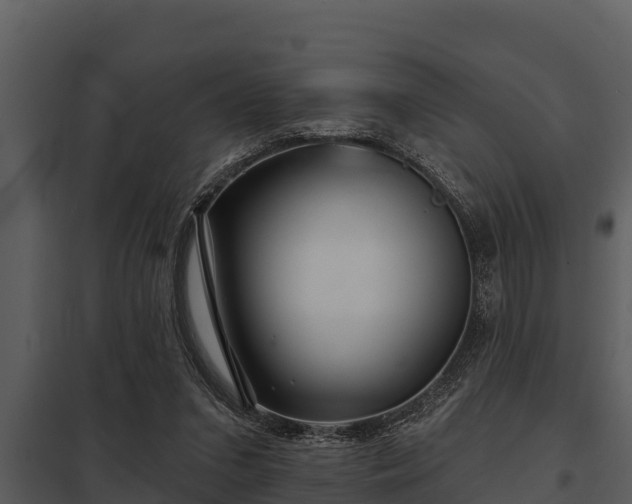 X0000097950207200804011642