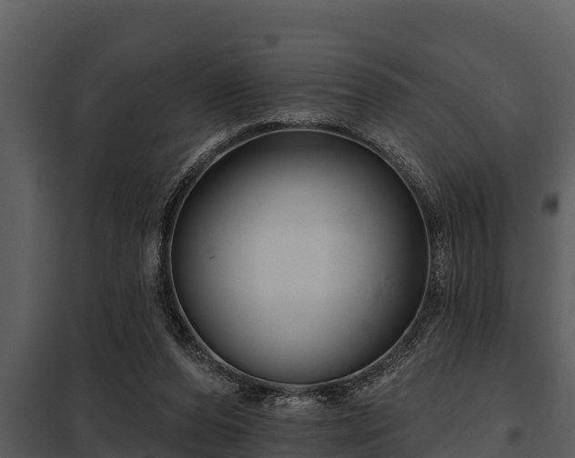 X0000097950208200804011642