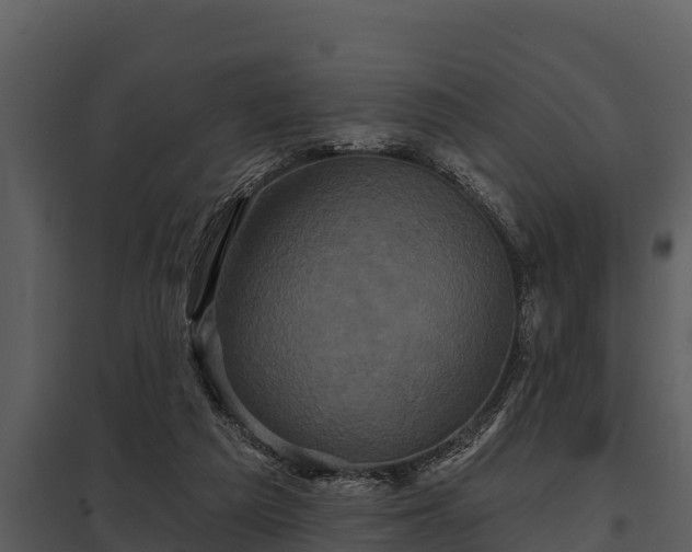 X0000097950209200804011642