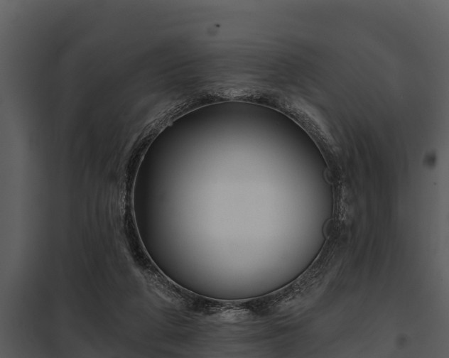X0000097950210200804011642