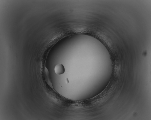 X0000097950211200804011642