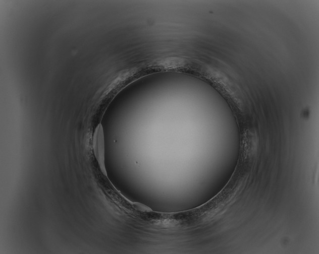 X0000097950212200804011642