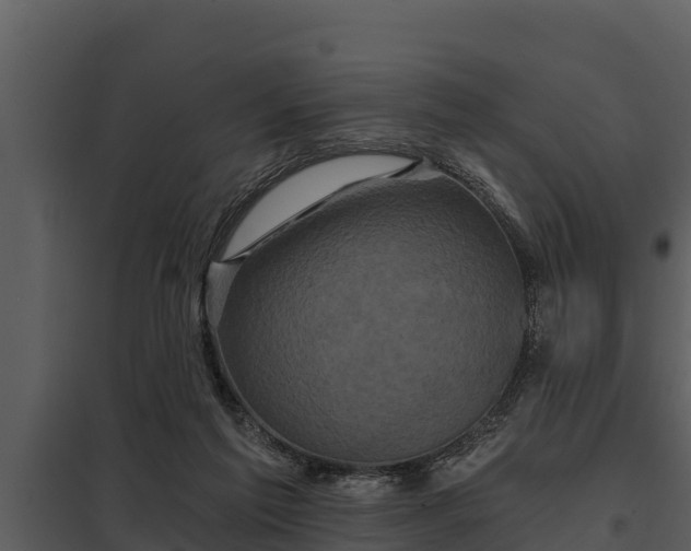 X0000097950213200804011642