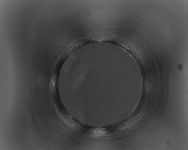 X0000097950214200804011642