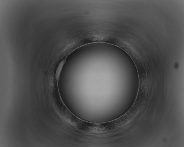 X0000097950215200804011642