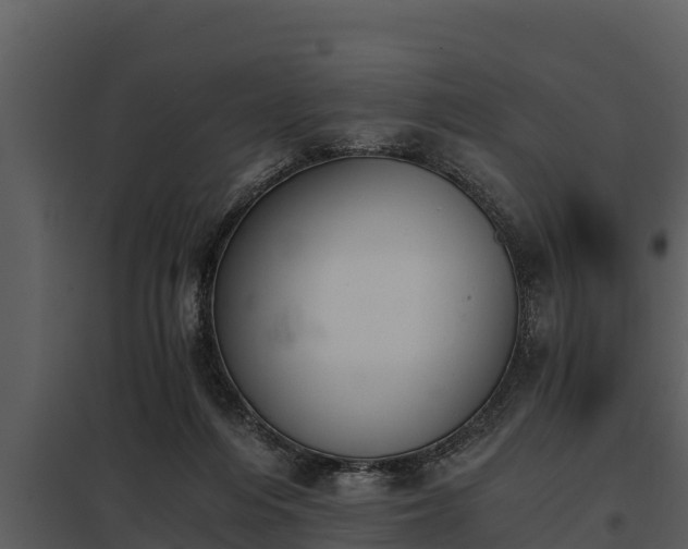 X0000097950216200804011642