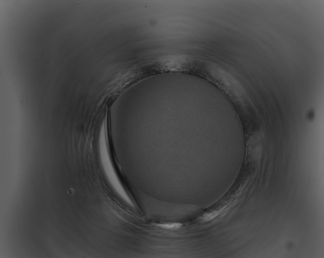 X0000097950217200804011642