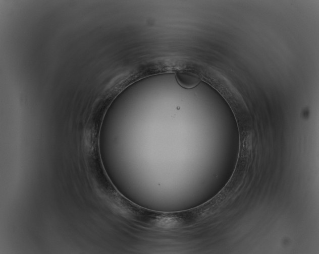 X0000097950218200804011642
