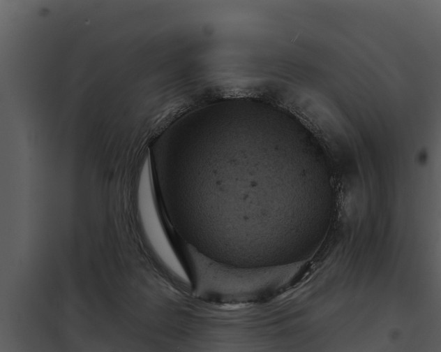 X0000097950219200804011642