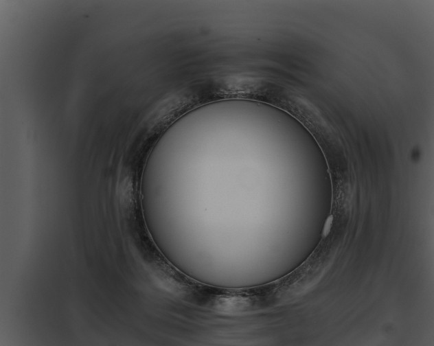 X0000097950220200804011642