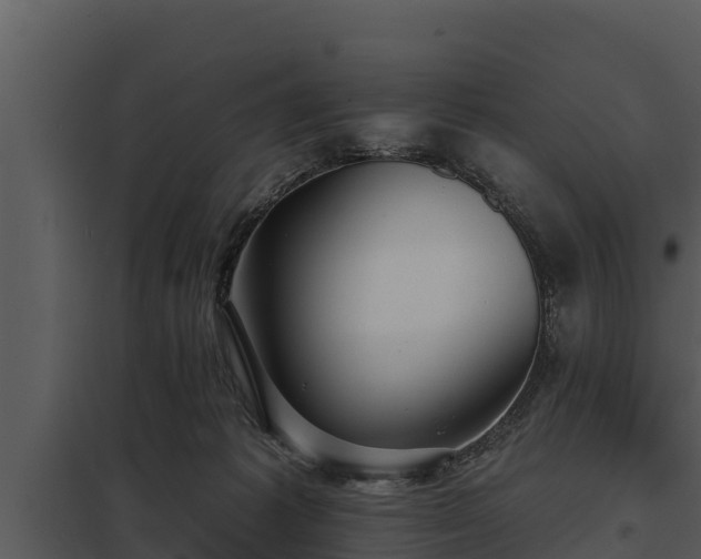 X0000097950221200804011642