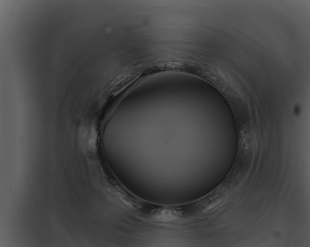 X0000097950223200804011642