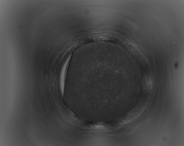 X0000097950224200804011642