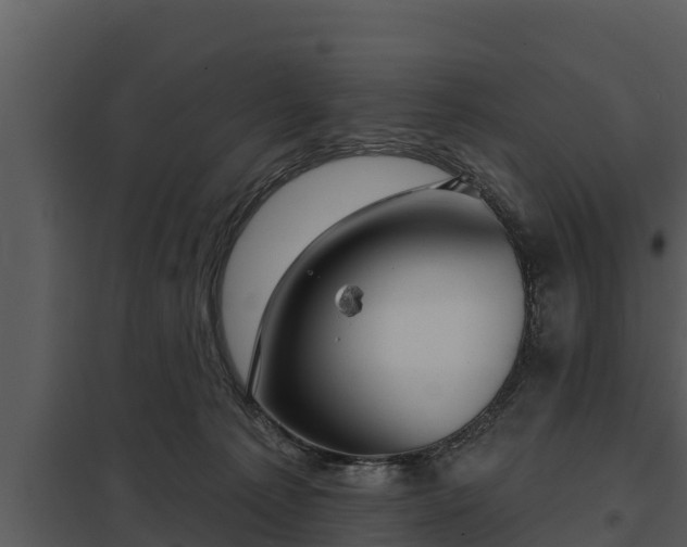 X0000097950225200804011642