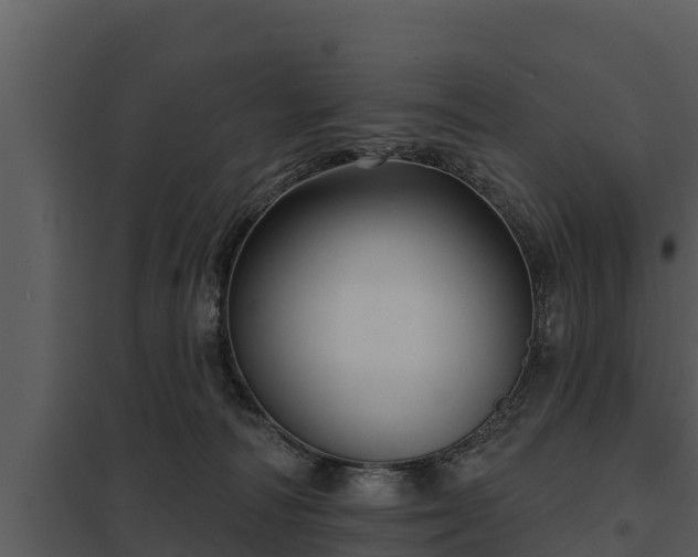 X0000097950226200804011642