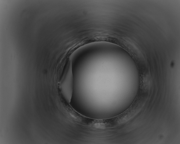 X0000097950228200804011642