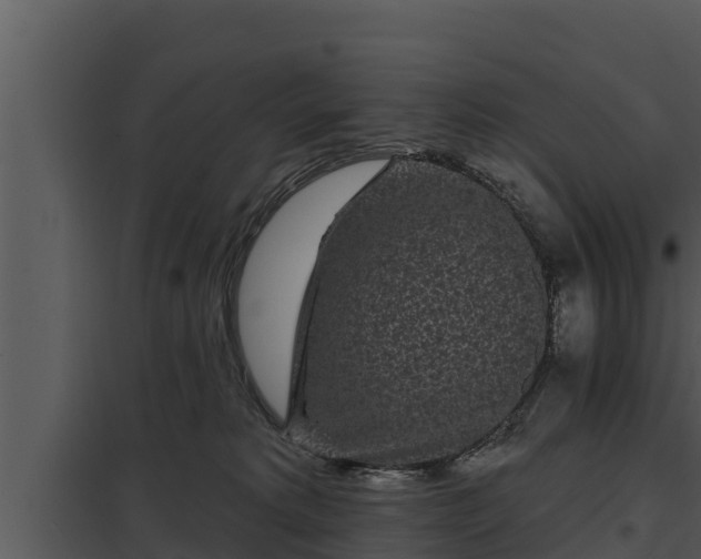 X0000097950229200804011642