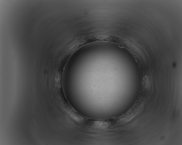 X0000097950234200804011642