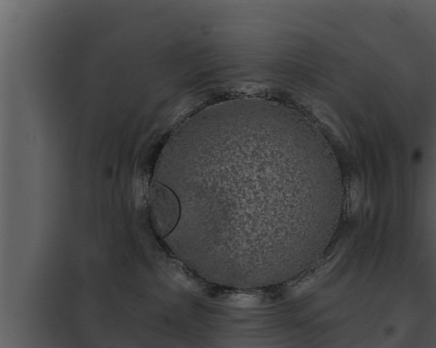 X0000097950236200804011642