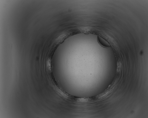X0000097950238200804011642
