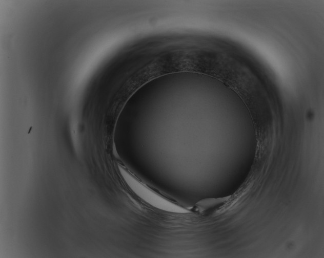 X0000097950239200804011642