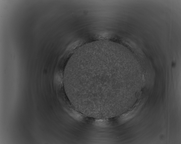 X0000097950240200804011642