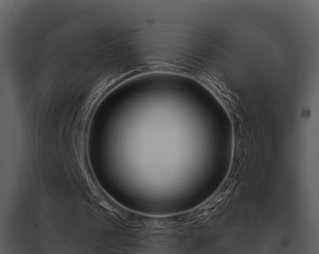 X0000097950241200804011641