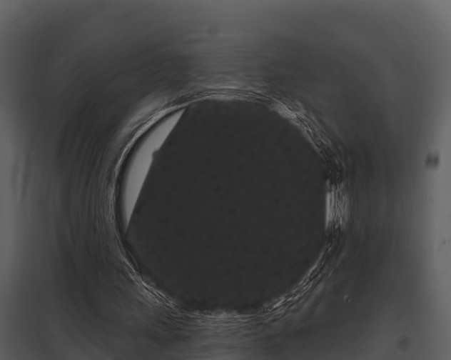 X0000097950243200804011641