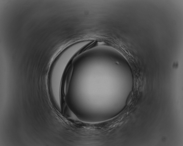 X0000097950244200804011641