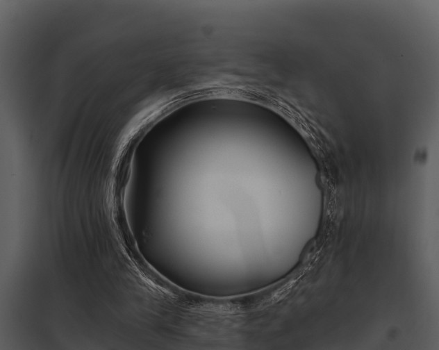 X0000097950245200804011641