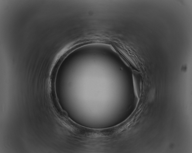 X0000097950246200804011641