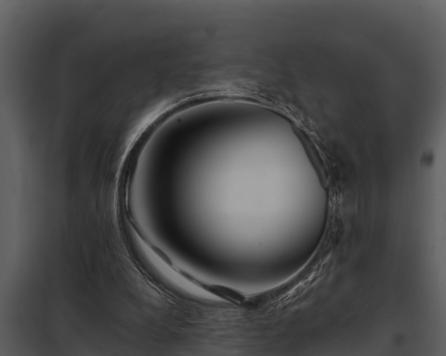 X0000097950248200804011641
