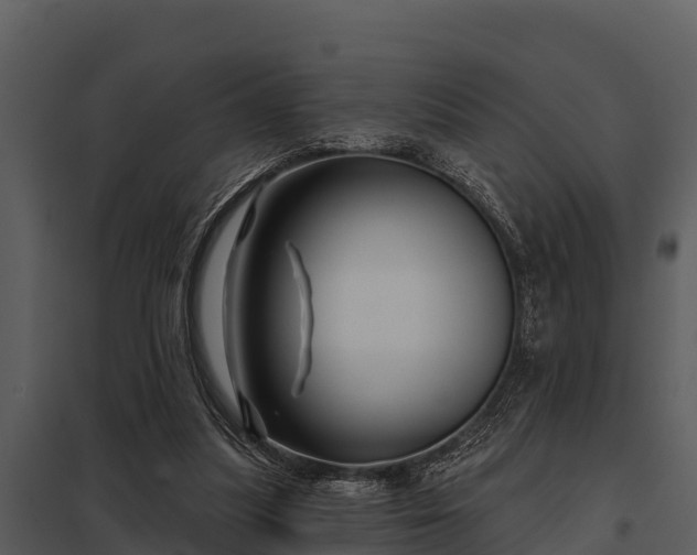 X0000097950251200804011641
