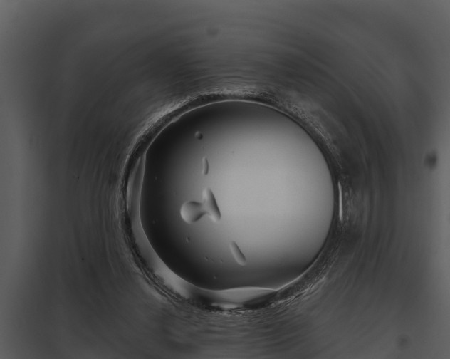 X0000097950252200804011641