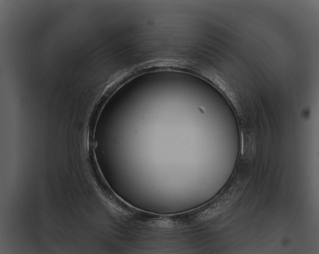 X0000097950253200804011641