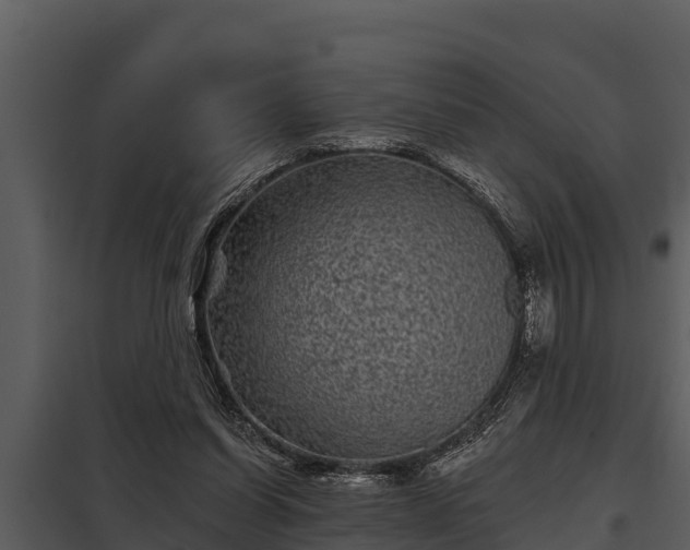 X0000097950254200804011641