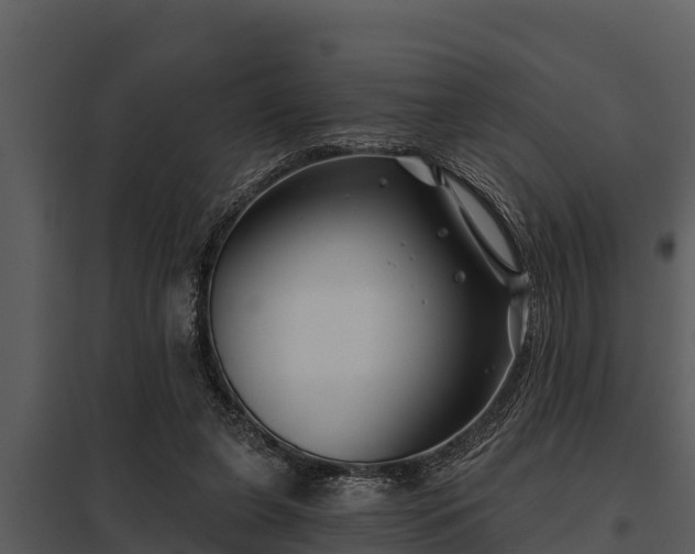 X0000097950255200804011641