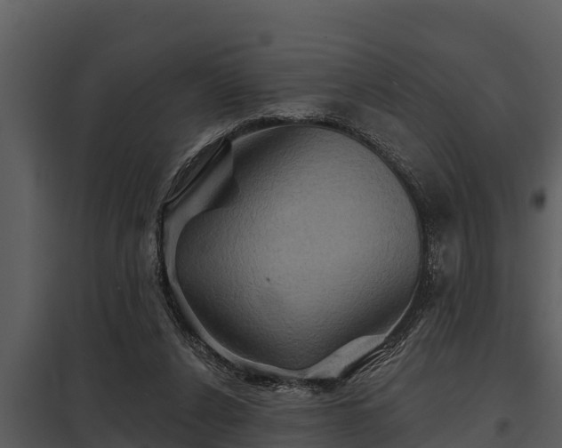 X0000097950256200804011641
