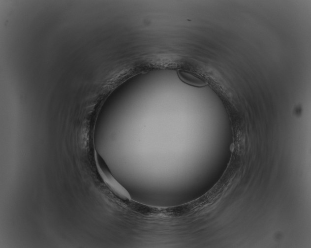 X0000097950259200804011641