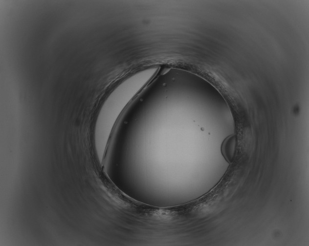 X0000097950261200804011641