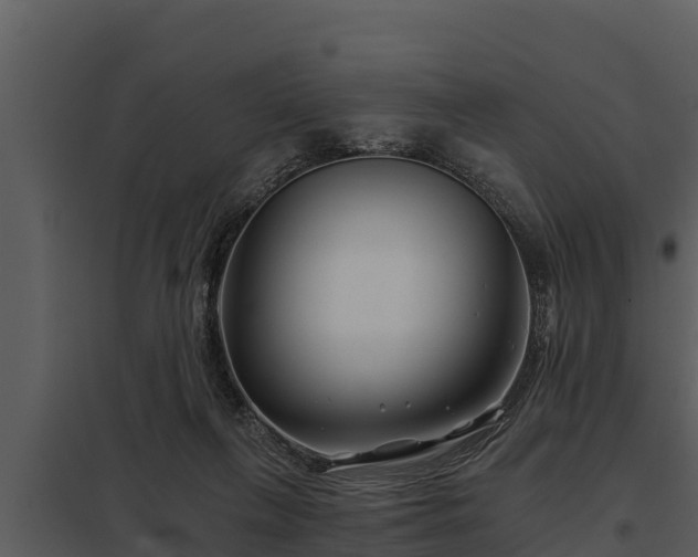 X0000097950263200804011641