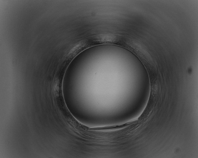 X0000097950264200804011641
