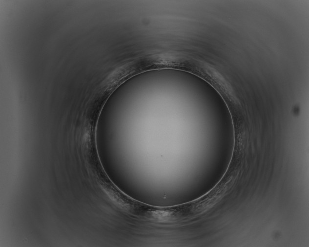 X0000097950265200804011641