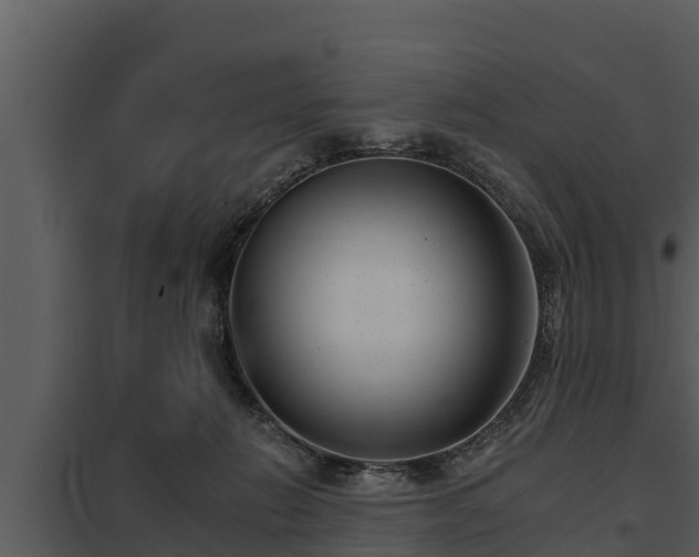 X0000097950270200804011641