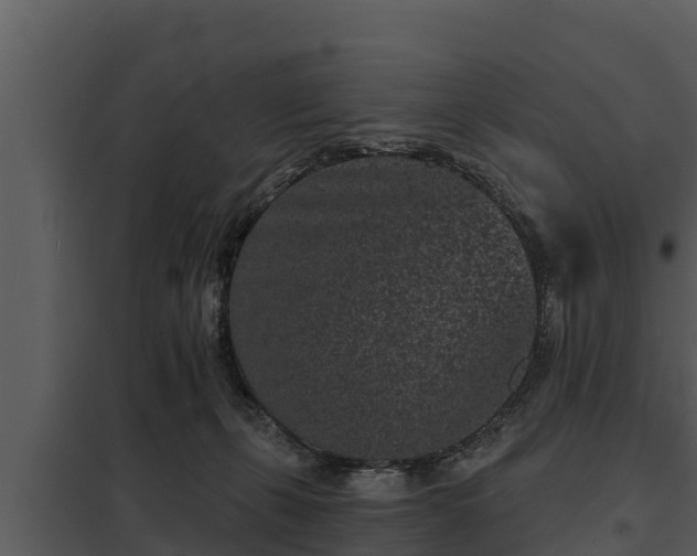 X0000097950271200804011641