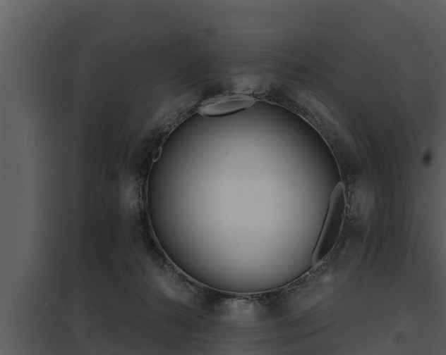 X0000097950272200804011641