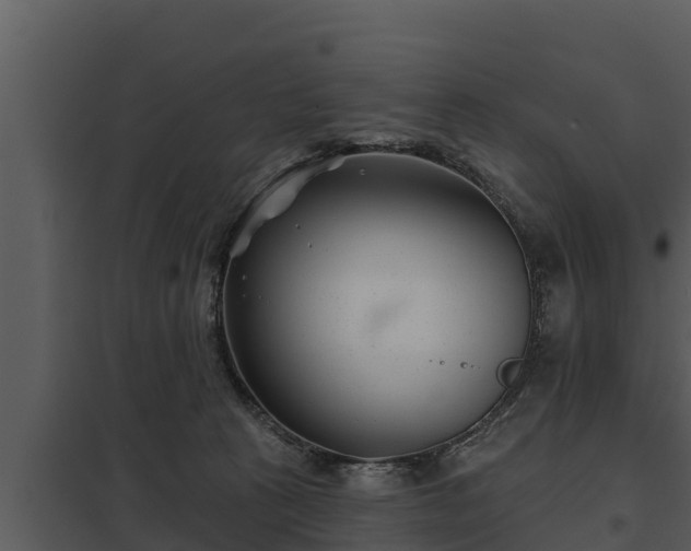 X0000097950273200804011642