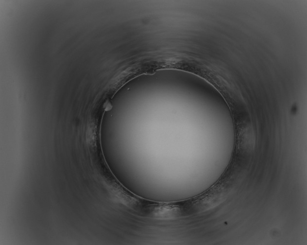 X0000097950274200804011642