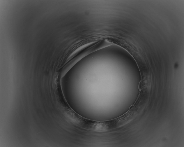 X0000097950275200804011642