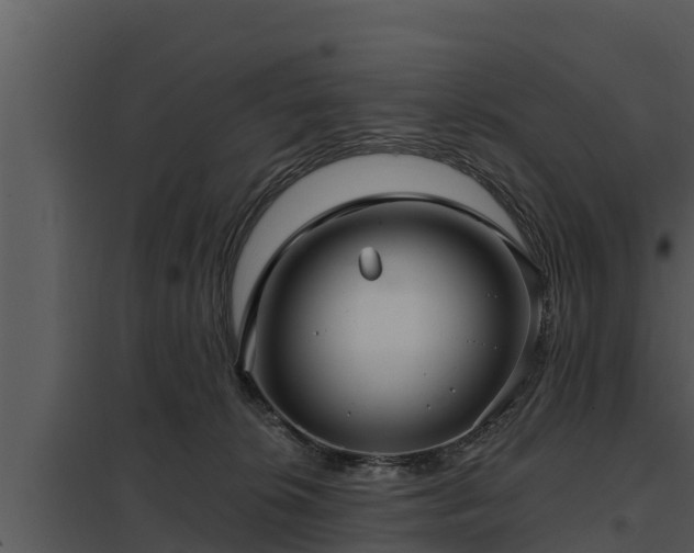 X0000097950276200804011642